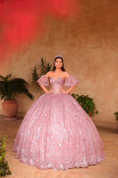 A woman wears a sparkling Dusty Rose ball gown with a tiara, standing in a warm-toned setting with plants.