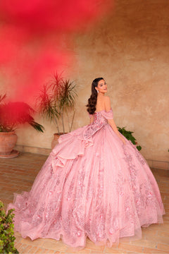 A woman in a voluminous pink lace ball gown poses elegantly against a terracotta-toned background with plants.