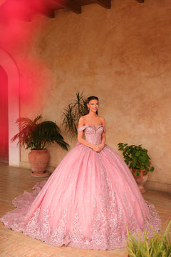 A woman wearing a rose gold ballgown with intricate lace details stands in a warm-toned interior with plants.