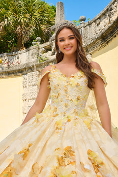 A young woman in a yellow floral ballgown and tiara poses elegantly against a stone architectural backdrop.