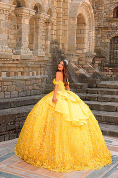 A woman in a voluminous yellow off-shoulder ball gown and tiara poses on stone steps with an architectural backdrop.