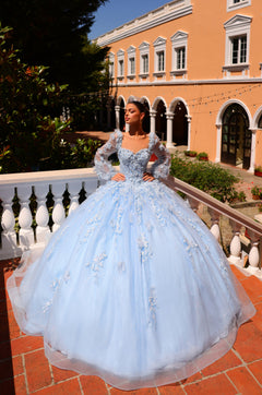 A Light Blue ball gown with floral appliqués and puffy sleeves.